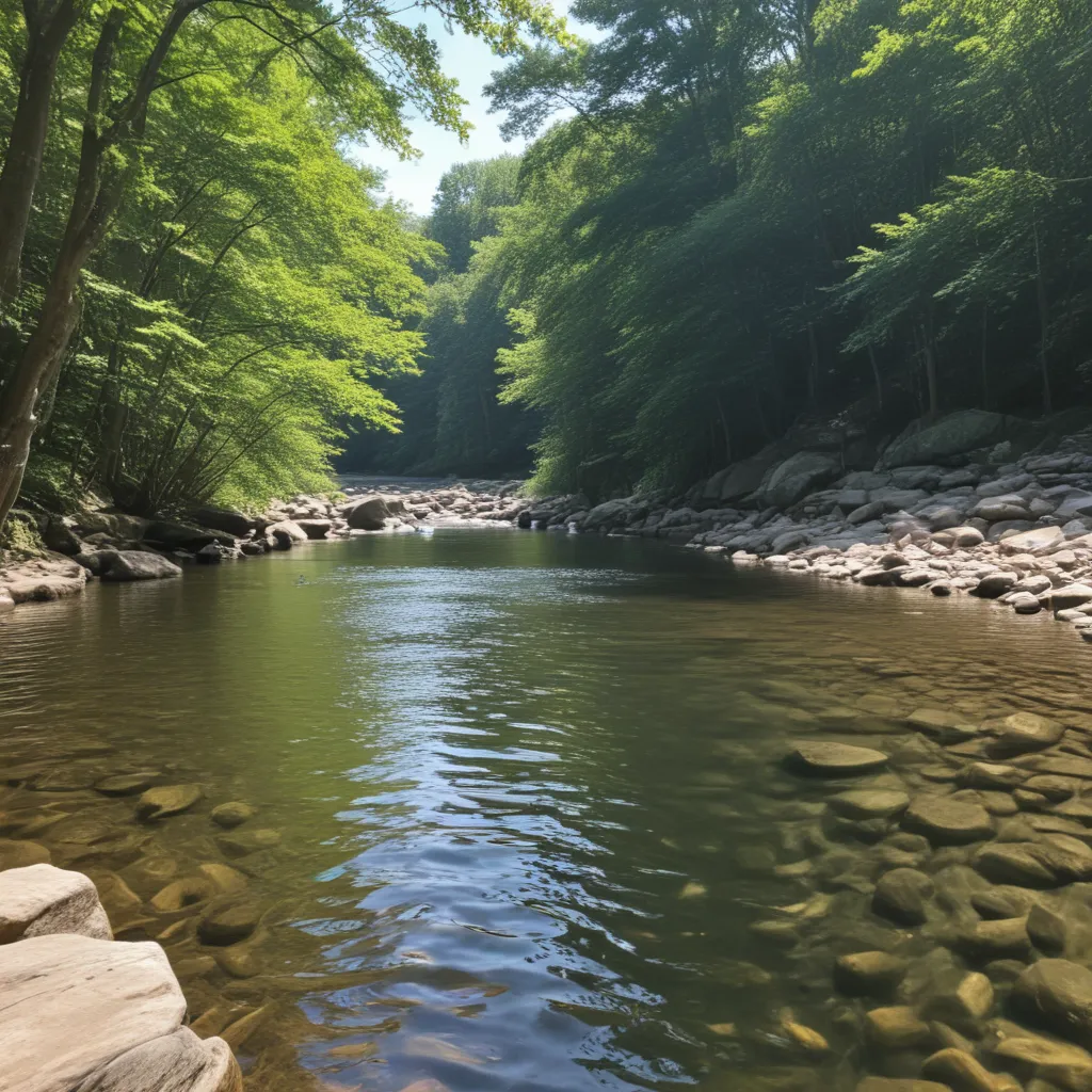 Find Hidden Swimming Spots For Beating The Pound Ridge Heat