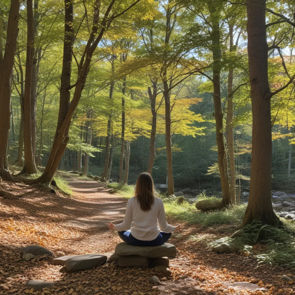 Recharge in Nature: Mindfulness in Pound Ridge