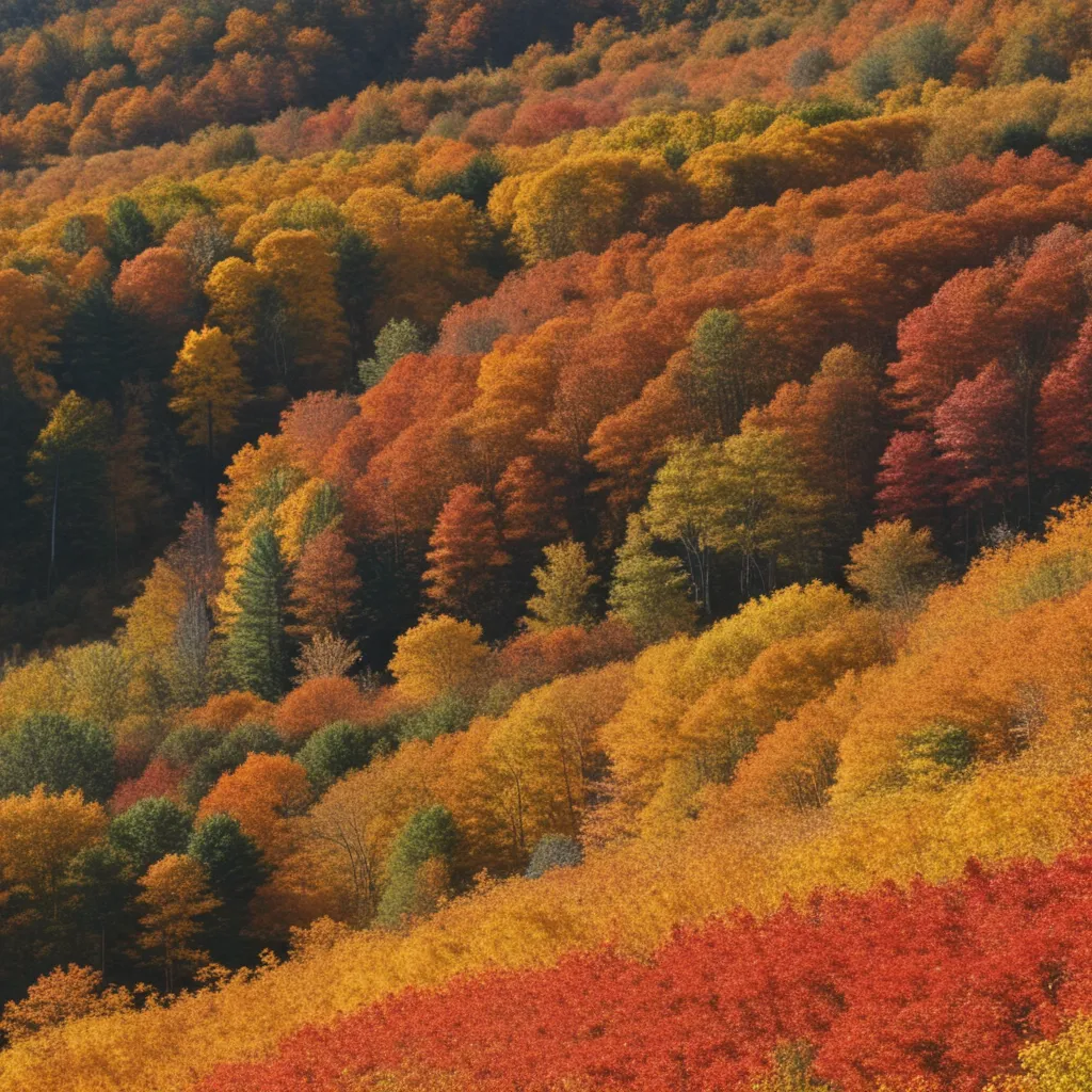 Where to View Stunning Fall Foliage in Pound Ridge